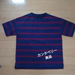 canterbury ストライプ Tシャツ Lサイズ ネイビー/バーガンディ