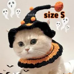 Item thumbnail for item 3fe5ee93-d99d-42d5-bffe-fb7c13c50cd1