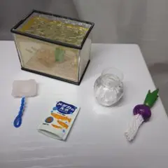 Item thumbnail for item 08544778-6541-4f74-b4f5-656c1b5994ae