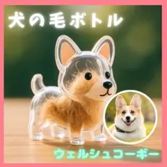 Item thumbnail for item 1f4b1017-8695-4da7-b8d4-dac3245c8c18