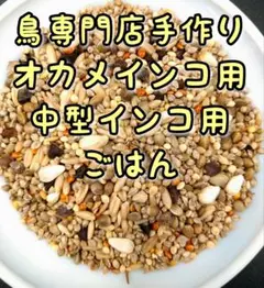 鳥専門店手作り・鳥の餌・オカメインコ(中型インコ)用ごはん