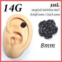 Item thumbnail for item 78ba6dce-2679-4472-96ff-44ca39ade89d