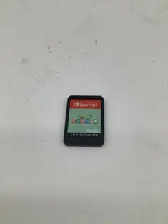 Switch どうぶつの森　カセットのみ