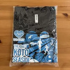 Item thumbnail for item 8ed97c19-2fea-47b0-b9bd-402e610fdffc