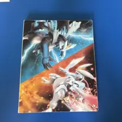ポケモンカード　4ポケットファイル　ブラックキュレム　ホワイトキュレム　bw