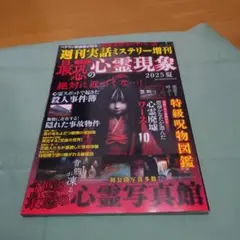 週刊実話ミステリー増刊 最恐 心霊現象 2025夏