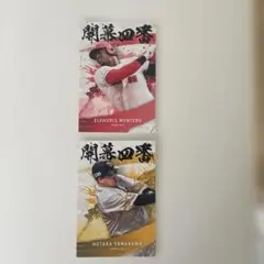 Item thumbnail for item dc88cf19-14f3-4ff7-886e-c201f78b8eed