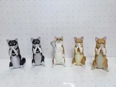 Item thumbnail for item 43dbd044-8edb-4c07-b072-a201985ac3e0