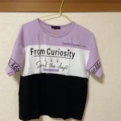 Tシャツ　紫　黒