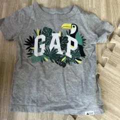 GAP トゥカン柄 Tシャツ 12-18ヶ月