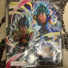ス*影様 スーパードラゴンボールヒーローズ チャンピオンシップ2023 バインダ 2025年最新】ドラゴンボールヒーローズ バインダー チャンピオン