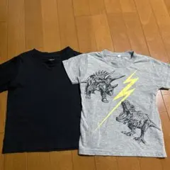恐竜プリント　長袖　半袖　まとめ売り　黒　グレー　110 ティラノサウルス