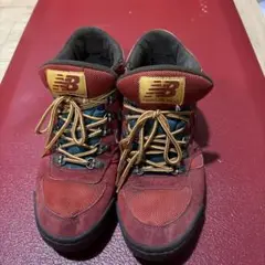 Item thumbnail for item 8a11ba17-e1c4-45ac-9f74-7370cdbf06dd