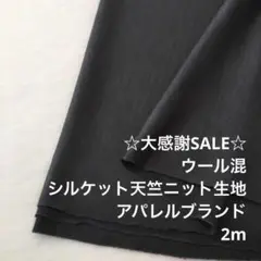 A8L/6930-01◆2m 感謝祭/ウール混シルケット天竺ニット生地/アパレル