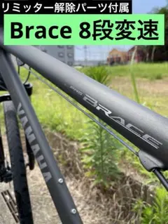 PASブレイス★リミッター解除、マグネット数6 個・ギヤセット・公道走行不可★ PASブレイス☆リミッター解除、マグネット数6 個・ギヤセット