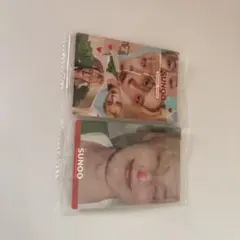 Item thumbnail for item 8813facb-a1d4-428e-9963-da7fb7afb0fc