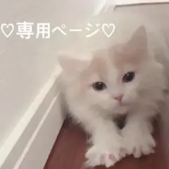 s様専用ページ