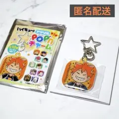 ハイキュー‼︎ アクリルpop'nチャーム 第1弾 日向翔陽