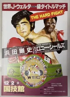 レネ・アルレドント vs 浜田剛史 WBC 世界J￼ウェルター級タイトルマッチ 浜田剛史 vs レネ・アルレドンド WBC Jウェルター級タイトル