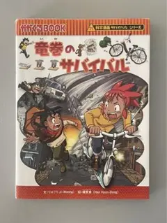竜巻のサバイバル : 生き残り作戦