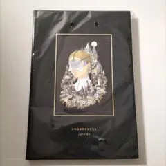 junaida ジュナイダ UNDARKNESS event_mv.jpg
