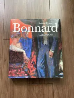 ピエール・ボナール 、【パリの河岸】、希少画集画、新品高級額・額装付、状態良好 1aca707d0c93700d8e68eae66799ae