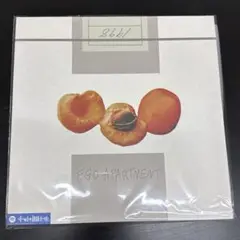 ego apartment 1st ALBUM 2LP レコード新品未開封
