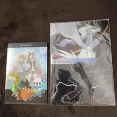 ポケモンクリアファイル 2枚セット