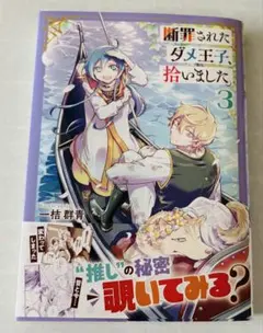 断罪されたダメ王子、拾いました 3巻