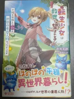 転生少女は救世を望まれる : ～平穏を目指した私は世界の重要人物だったようです…
