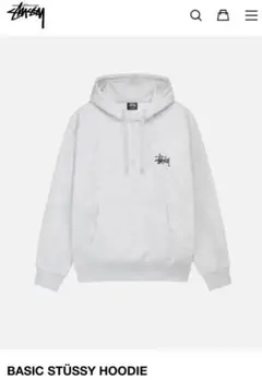 Stüssy BASIC HOODIE グレー