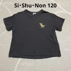 Si・Shu・Non 恐竜 半袖Tシャツ 120cm ダークグレー