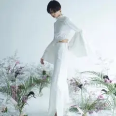 Bell Sleeves Short Blouse