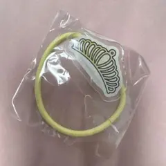FRUITS ZIPPER 早瀬ノエル　ヘアゴム　ランダムガチャ 日本武道館