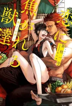 ⭐️送料無料⭐️恋に焦がれる獣達 (2) 『番』と『半身』 上愛を与える獣達シリーズ