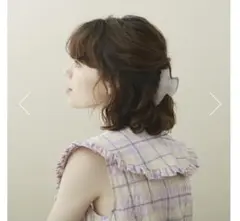 (美品)アレクサンドル ドゥ パリ ヘアクリップ L
