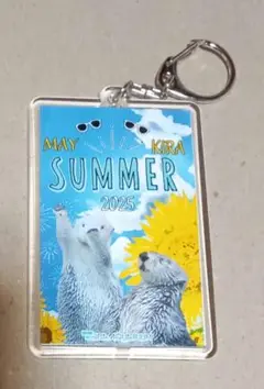 ラッコ　鳥羽水族館　キラちゃん メイちゃん 夏ver アクリルキーホルダー