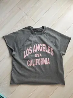 ZARA 今期7月購入　新品　damage logoカットソーT美品