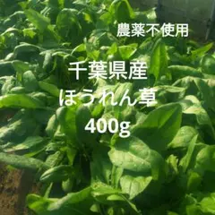 千葉県産ほうれん草400g