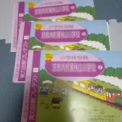 2026年度京教大附属桃山小学校要点チェックシリーズ 全5冊セット 2026年度京教大附属桃山小学校要点チェックシリーズ 全5冊セット