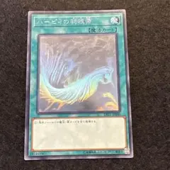 ハーピィの羽根帚　DP21-JP000　ホログラフィック