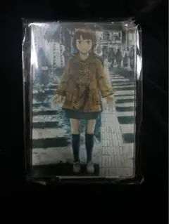円環帰点 安倍吉俊 serial experiments lain アクスタ