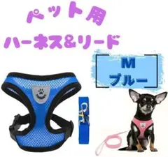Item thumbnail for item 5c6f3001-a113-4cf6-a5e7-b49c5f76a5cd
