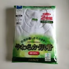 グンゼ　やわらか肌着半袖丸首２枚組Ｌ