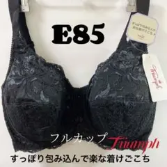 E85 トリンプ　ストーリー477 フルカップブラジャー