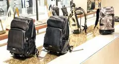 Item thumbnail for item be2df7a3-d268-4f2e-a0a1-0c113b2138b1