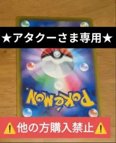 ★アタクーさま専用★⚠️他の方購入禁止⚠️