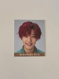 中村嶺亜 デタカ2020【まとめ買い可】