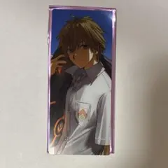 FGO 最終再臨展 編成画面風カード クリア エクストラI 岸波白野 男