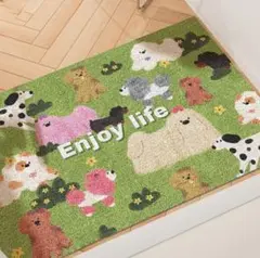 【美品】玄関マット エンジョイライフ グリーン 40×60cm 滑り止め 多用途